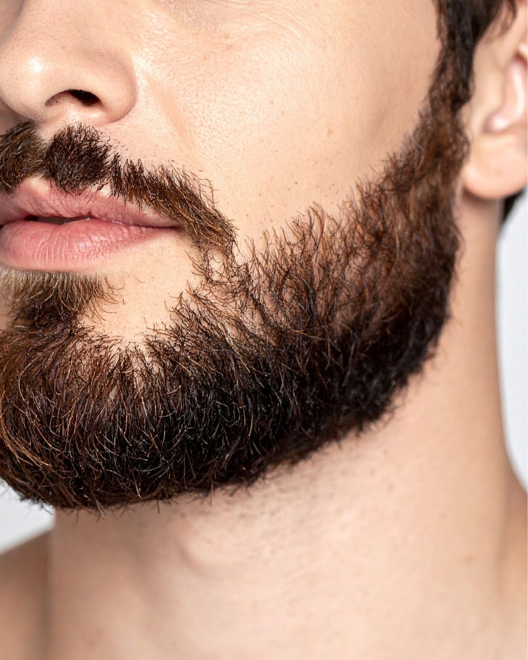 Cuello anterior + 2 sesiones gratis
