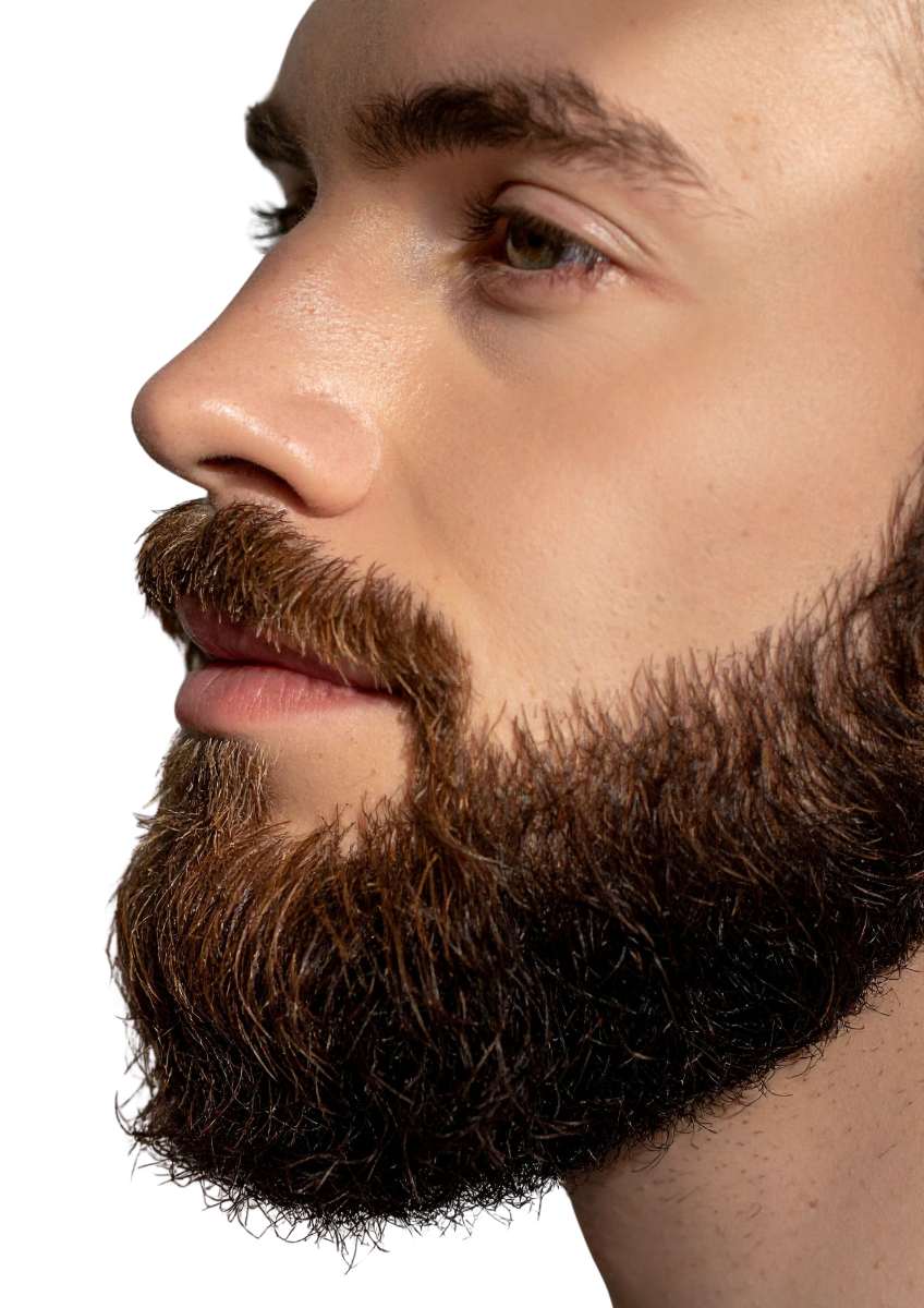 Delineado de barba + 2 sesiones gratis
